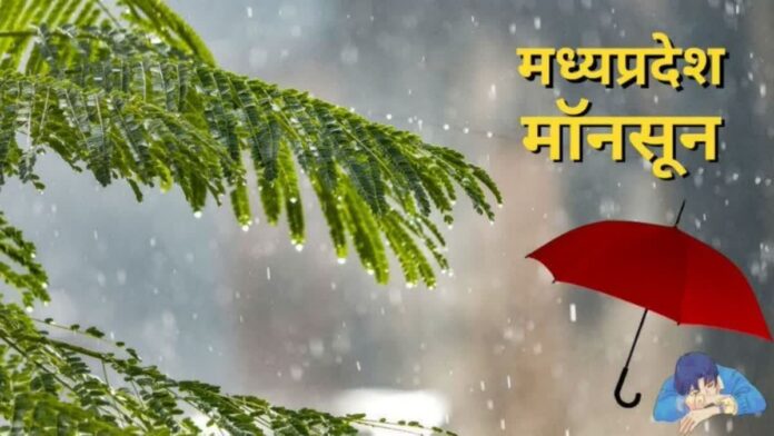 मध्यप्रदेश में भारी बारिश का दौर जारी मौसम विभाग ने ग्वालियर-चंबल संभाग के लिए जारी किया अलर्ट