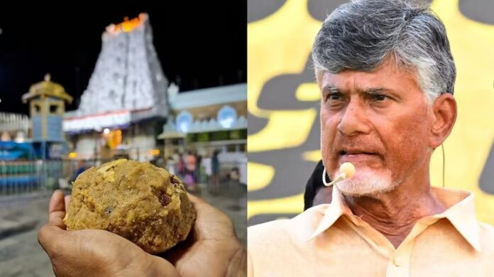तिरुपति के लड्डुओं में गोमांस और सुंअर की चर्बी होने का आरोप: YSR कांग्रेस ने हाई कोर्ट का रुख किया