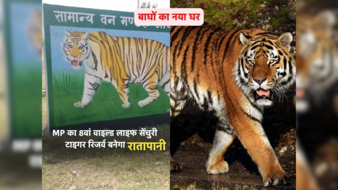 Ratapani Tiger Reserve: फाइनल ड्राफ्ट को मंजूरी, जल्द जारी होगी अधिसूचना