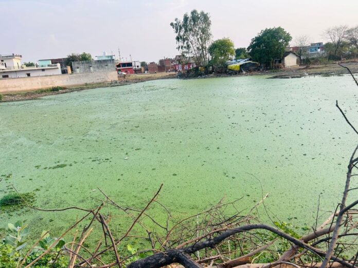 सतना में बड़ा खुलासा: रिकॉर्ड में हेरफेर कर बेच दिया गया सरकारी तालाब, जांच शुरू