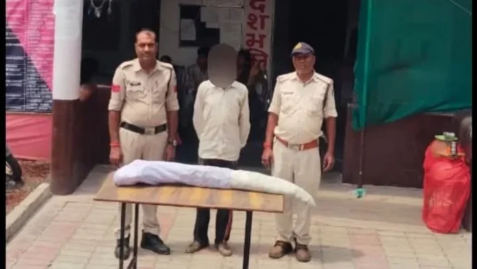 सीधी में 31 हजार रुपये के गांजा के 44 पौधे जब्त, एक गिरफ्तार