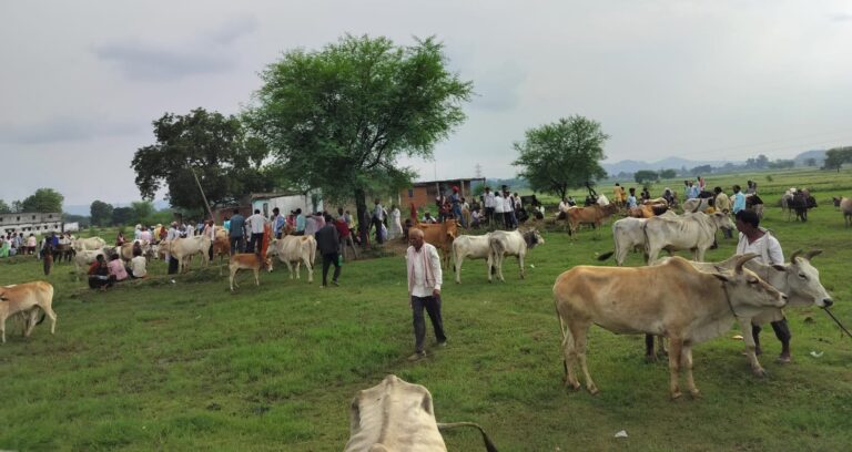 खुटार पशु बाजार में अवैध वसूली का खेल: सरकारी सिस्टम की चुप्पी या साज़िश?