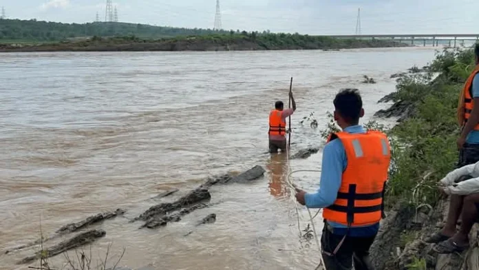 सोन नदी में फंसे 25 से ज्यादा गोवंशों को SDERF और होमगार्ड ने बचाया, जोखिम में डाली अपनी जान