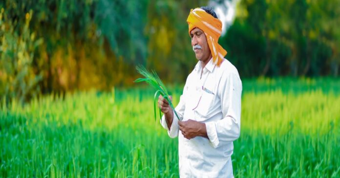 किसानों के लिए फसल बीमा की अंतिम तिथि बढ़ी, अब 30 अगस्त तक करा सकेंगे बीमा