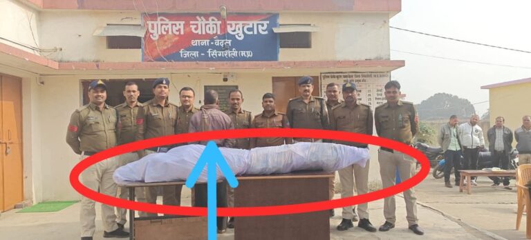 सिंगरौली में अवैध गांजा खेती का खुलासा, खुटार चौकी पुलिस ने 25 किलो से अधिक गांजा जब्त किया